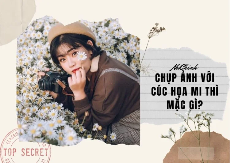 chup-anh-voi-cuc-hoa-mi-thi-mac-gi