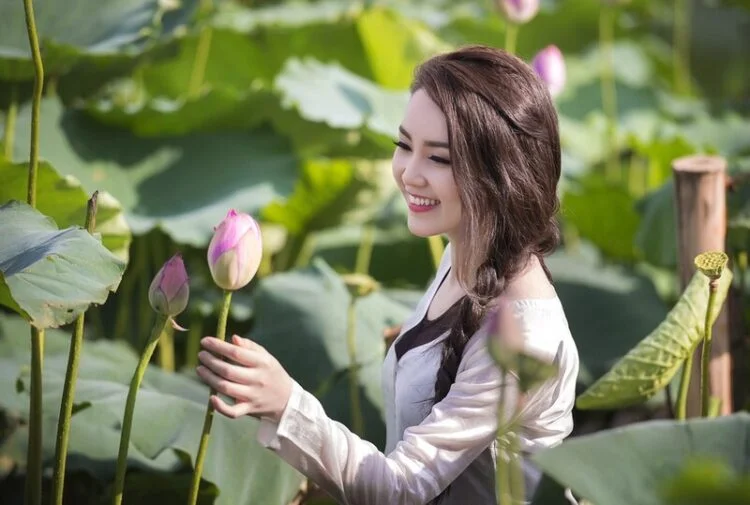 hoa sen tượng trưng cho điều gì