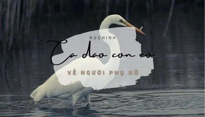 ca dao con cò về người phụ nữ