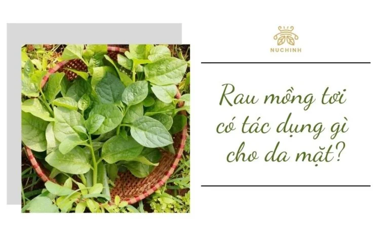 Rau mồng tơi có tác dụng gì cho da mặt? TOP 5 cách làm mặt nạ thiên nhiên từ mồng tơi