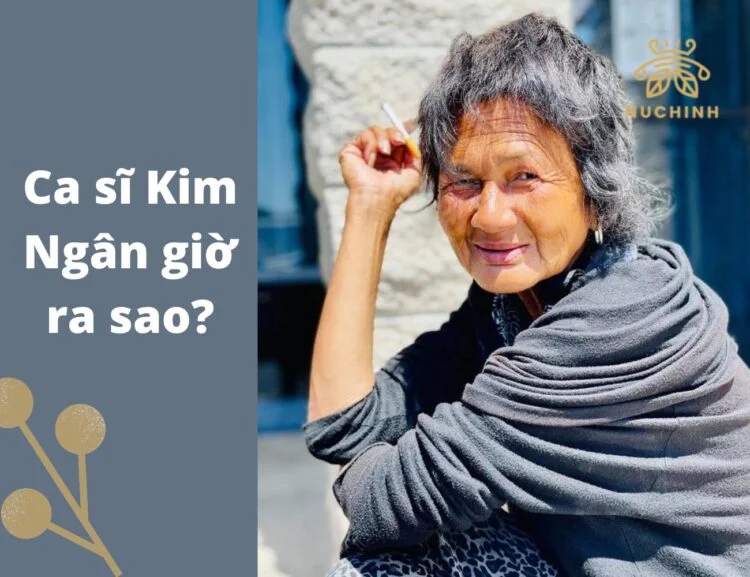 Ca sĩ Kim Ngân giờ ra sao