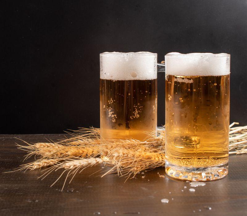 Bia làm từ lúa mạch