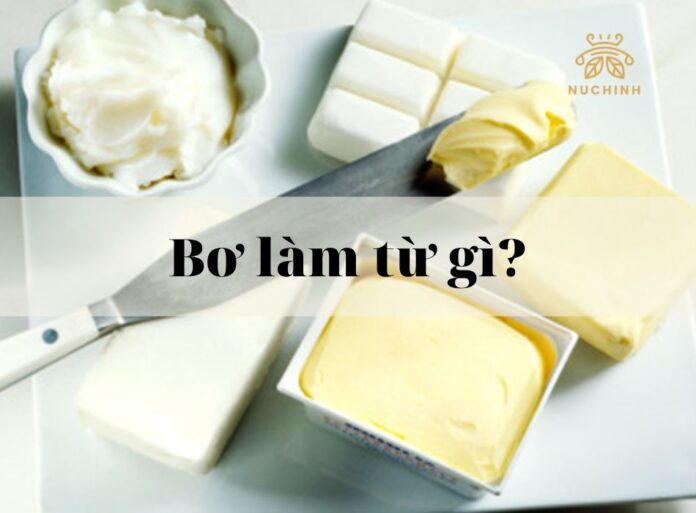 Bơ làm từ gì? Những thông tin chi tiết về bơ