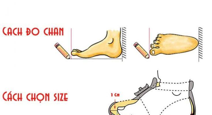 Cách đo chân chọn size giày chính xác nhất 