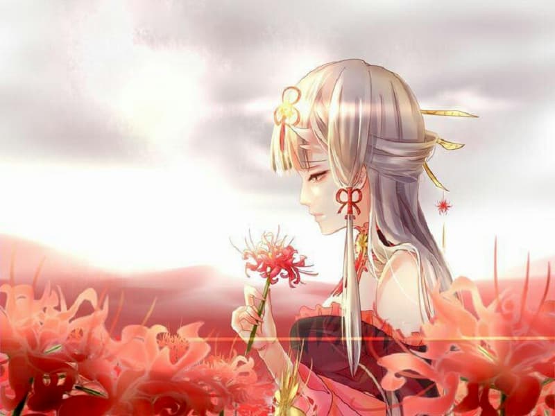 Hình ảnh hoa bỉ ngạn trong Anime.