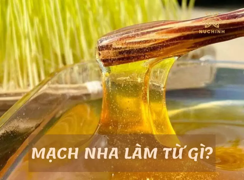 Mạch nha làm từ gì?