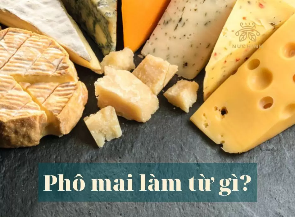 Phô mai làm từ gì?
