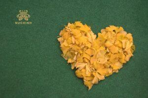 trái tim màu vàng có ý nghĩa gì