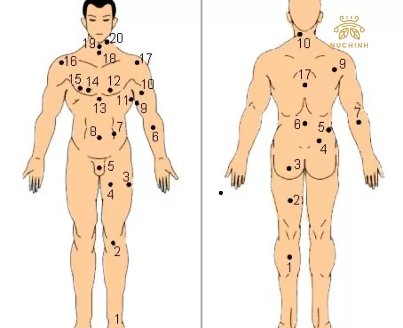 7 nốt ruồi ở vùng kín nam giới
