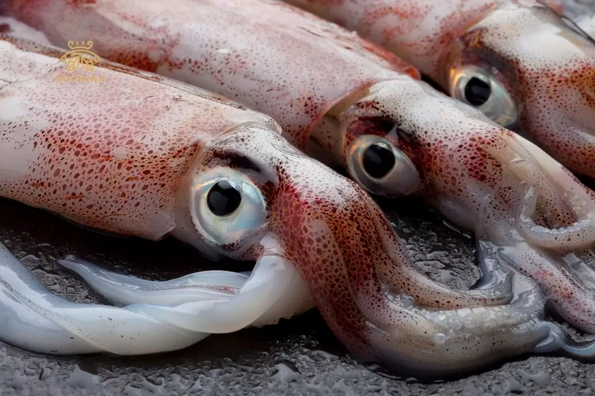 cách làm sạch mực ống