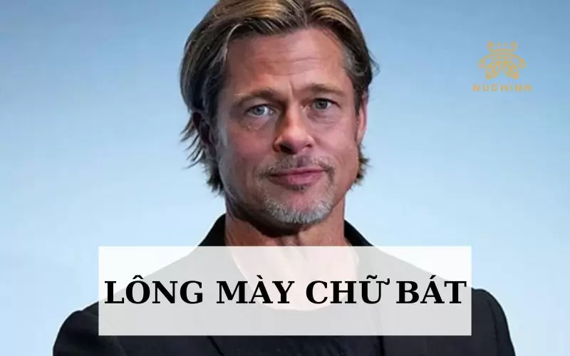 Lông mày chữ bát