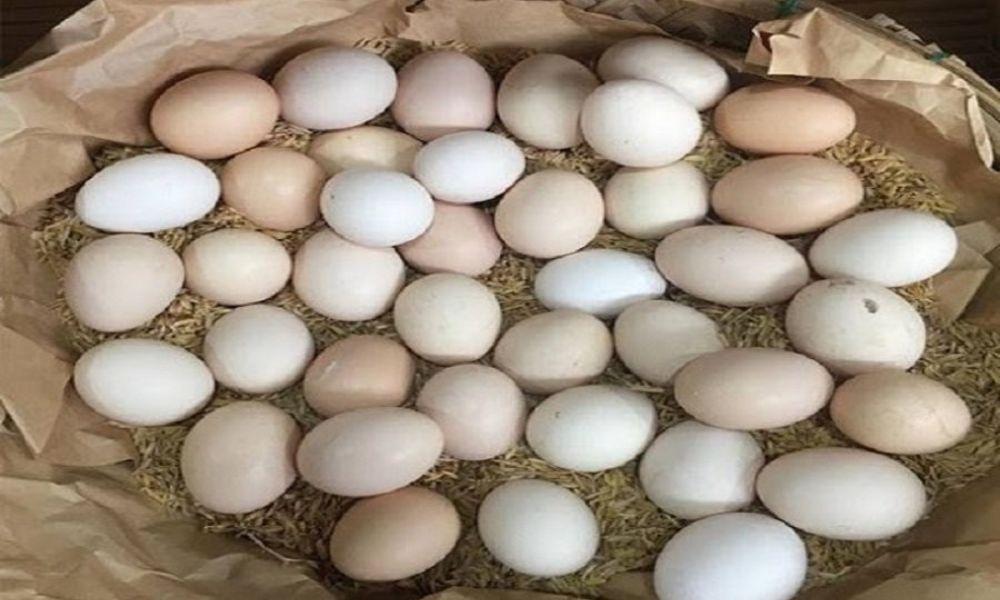 Cách bảo quản trứng gà không cần tủ lạnh