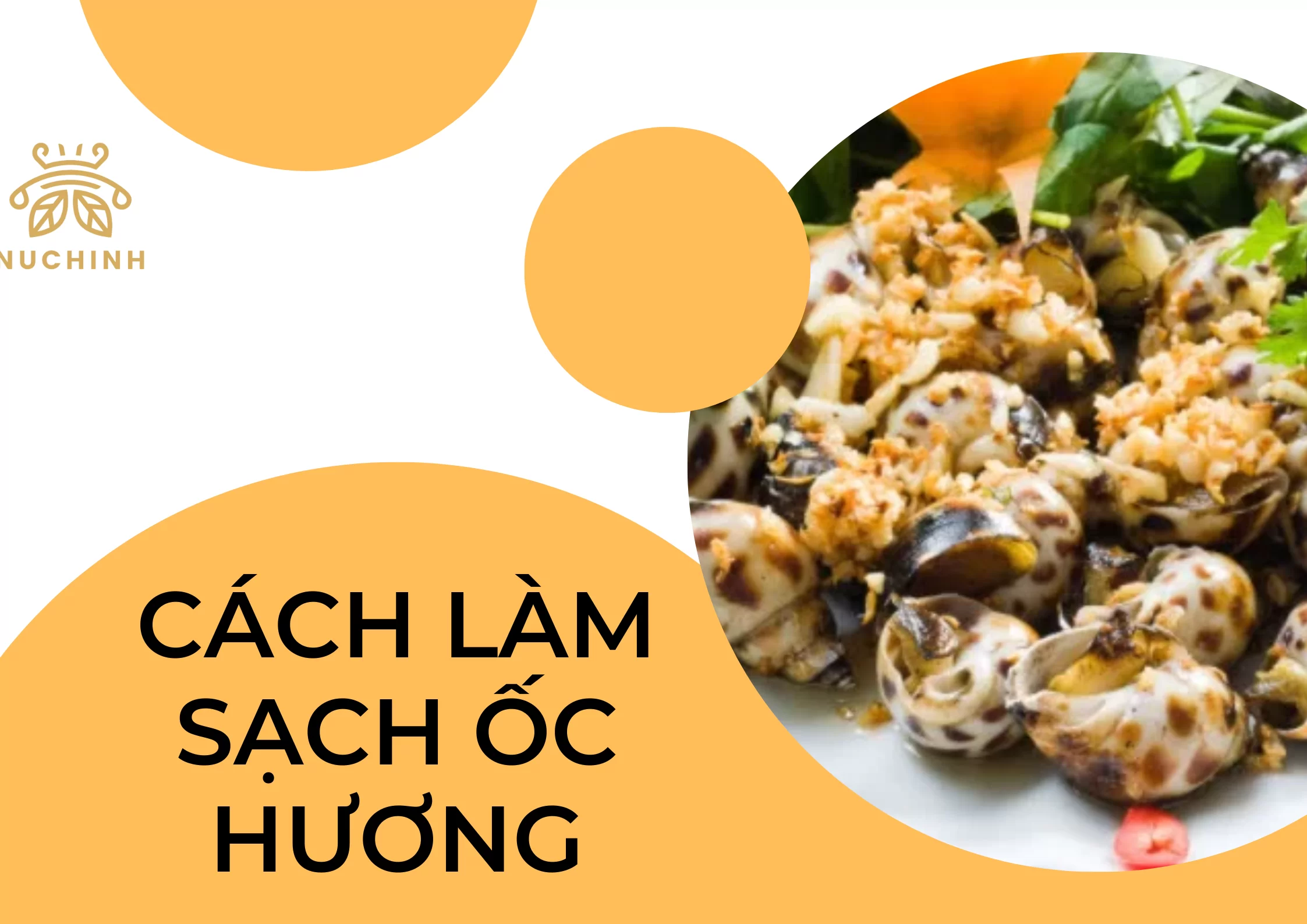 7+ cách làm sạch ốc hương cho nàng khéo tay vào bếp