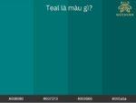 Màu teal là màu gì? Những điều bạn mà chưa biết về màu teal