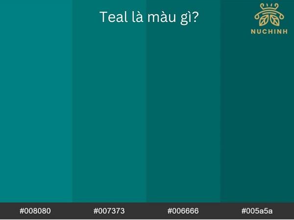 Màu teal là màu gì? Những điều bạn mà chưa biết về màu teal