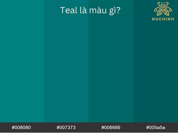 Màu teal là màu gì? Những điều bạn mà chưa biết về màu teal