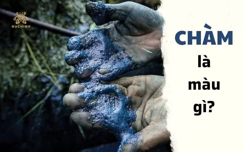 chàm là màu gì