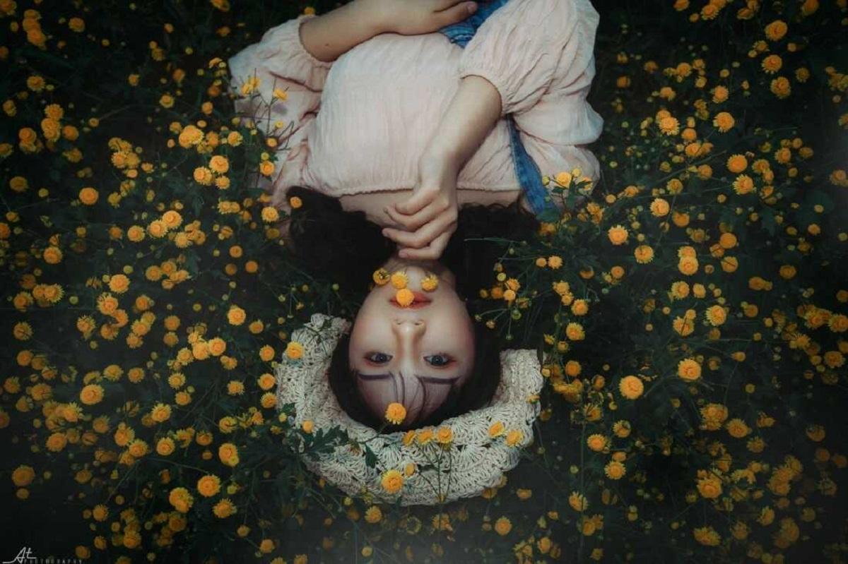 Chụp từ trên xuống với hoa cúc vàng 