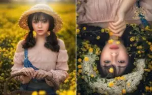 chụp ảnh với hoa cúc vàng
