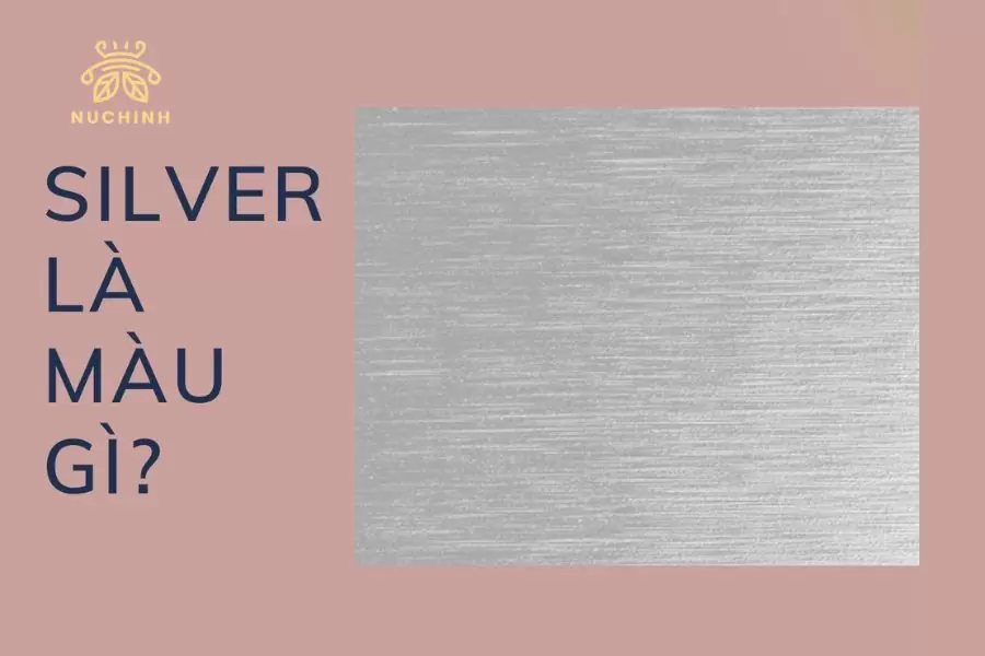 Silver là màu gì