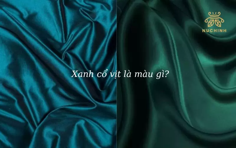 Xanh cổ vịt là màu gì? 8 cách phối đồ đẹp nhất với xanh cổ vịt