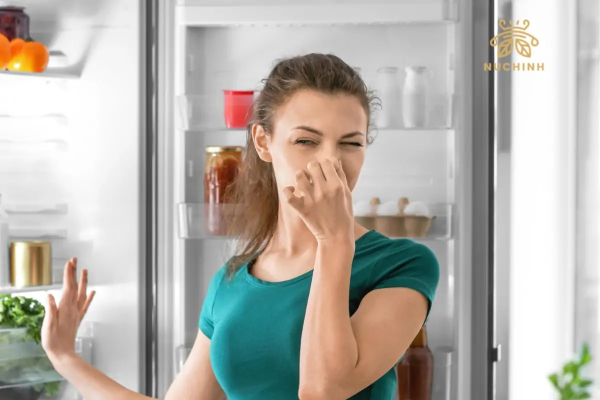 Cách khử mùi hôi tủ lạnh ngăn đá triệt để với 6 nguyên liệu từ thiên nhiên