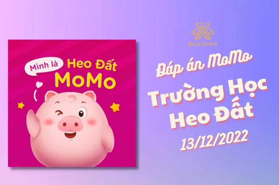 Đáp án Trường Học Heo Đất MoMo ngày 13/12/2022 chính xác nhất