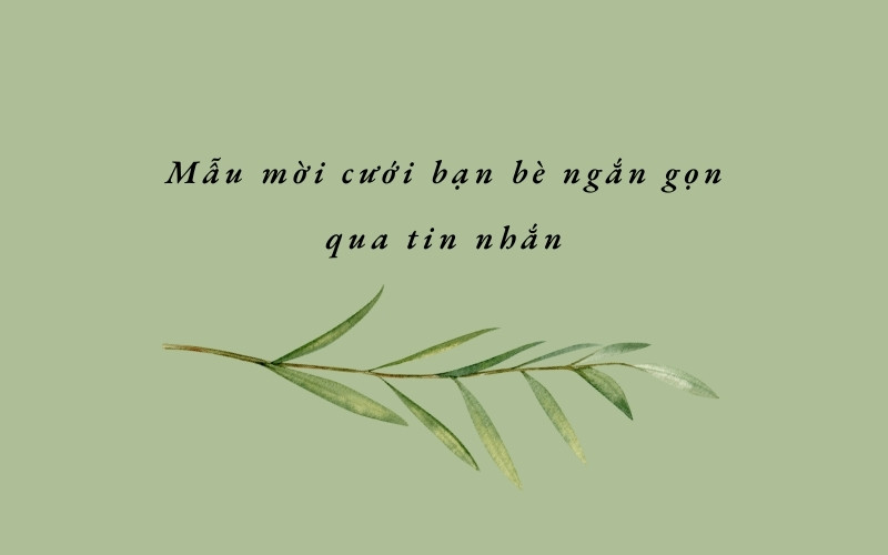 Mẫu mời cưới bạn bè ngắn gọn qua tin nhắn