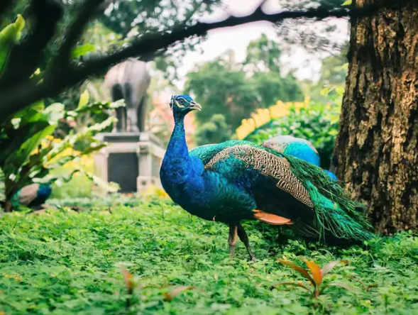 Gợi ý địa điểm vui chơi ở Sài Gòn cho gia đình có trẻ nhỏ